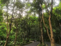 -火炉山森林公园
