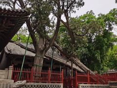 -晋祠公园