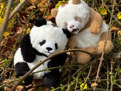 -栾川竹海野生动物园