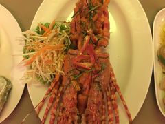 -Red Lobster