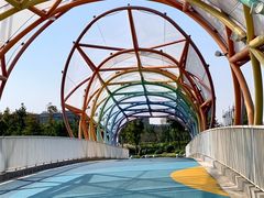 -南汇新城城市公园