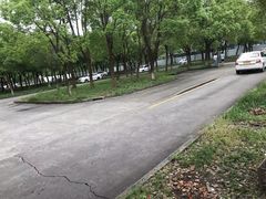 -安飞驰驾校·学车连锁(金高店)