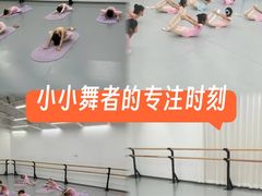-中央芭蕾舞团·中芭艺蕾(酒仙桥明星校区)