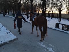 -北京群众马术培训基地