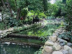 -成都市活水公园