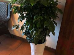 -御轩足道·SPA·养生·保健(瑞金北路店)