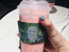 -野萃山·潮汕厚果汁(十亩地店)