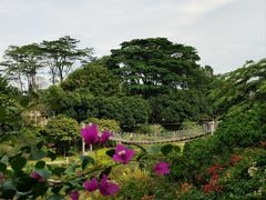 -东莞植物园
