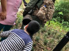 -云溪植物园