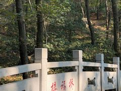 -虞山风景区