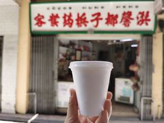 -洪馨椰子