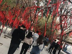 -西安青龙寺遗址景区