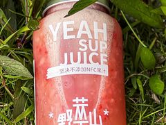 -野萃山·潮汕厚果汁(十亩地店)