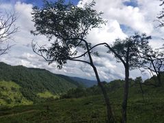 -关山草原