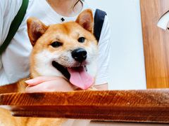 -Line 咖啡(石厦花园店)