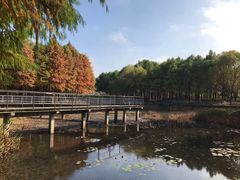 -尚贤河湿地