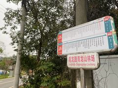 -青龙山国家森林公园