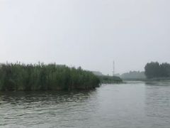 -白洋淀景区