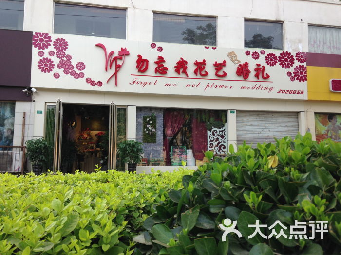 邢台勿忘我鲜花店图片 第6张