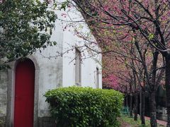 -乌山风景区