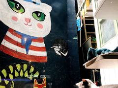 -猫咪博物馆(顶澳仔猫街店)