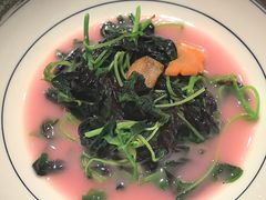 -沈灶河豚宴·河豚融合餐厅(汉中路店)