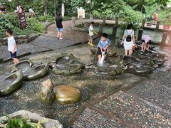 -成都市活水公园