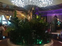 -润园四季椰子鸡火锅(海上世界店)