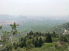 -府君山公园