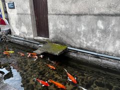 -前童古镇