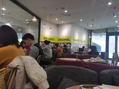-油梨树 AVOCADO TREE(亮马桥店)
