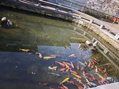 -清漾毛氏文化村