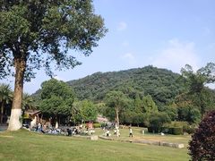 -桃花岭景区