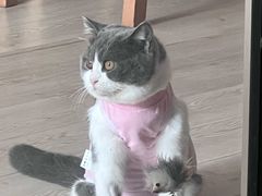 -欧奕国际动物医院