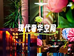 -索拉古贝(义乌北苑店)