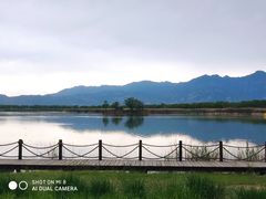 -野鸭湖国家湿地公园