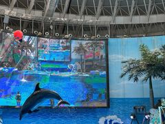 -海合安成都极地海洋公园