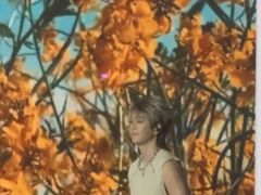 -华润深圳湾体育中心-“春茧” 体育馆