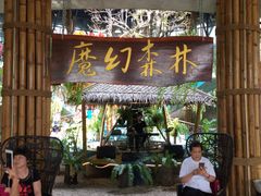 -The Ring Pavilion 魔幻森林