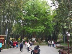 -望江楼公园