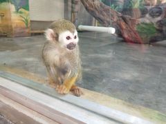 -西安秦岭野生动物园