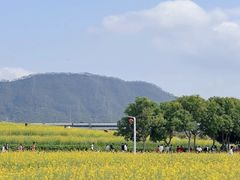 -光明小镇欢乐田园