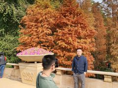 -云溪植物园