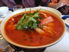 鸭血遇上毛肚-龙猫意杯花园餐厅(芙蓉湖店)