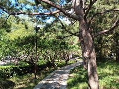 -元大都城垣遗址公园