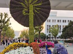 -上海大学(宝山校区)