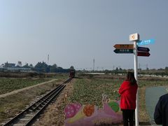 -桤木河湿地公园