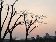 -西秀海滩公园