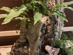 -杭州香格里拉·香宫中餐厅