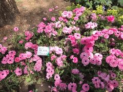 -北京植物园-展览温室